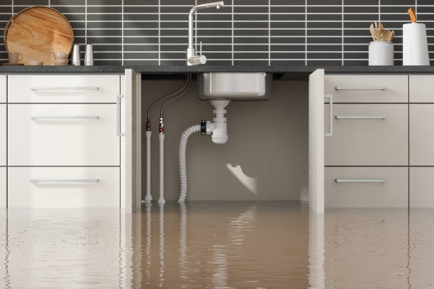 Best Professional water damage repair  in Elsa, TX